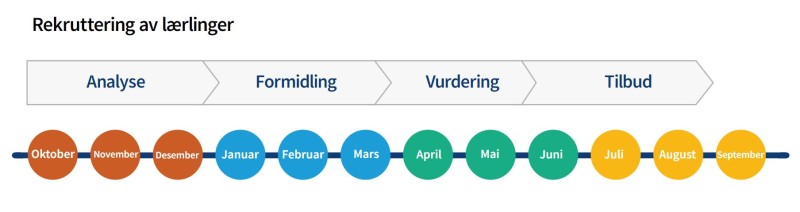 Illustrasjon som viser faser i rekruttering av lærling for arbeidsgiver