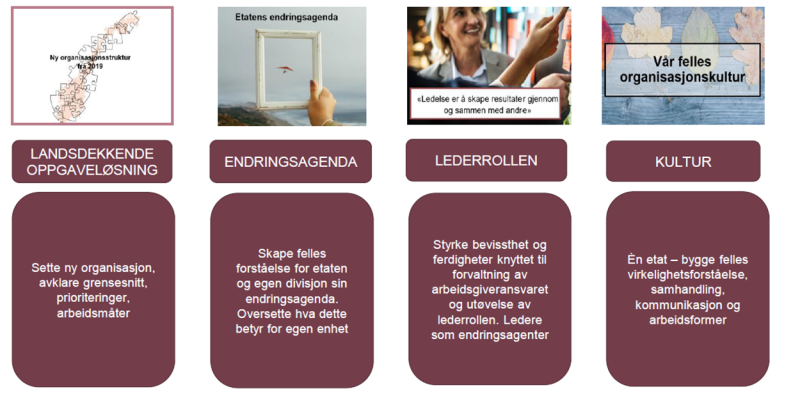 organisasjonskart
